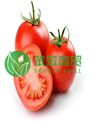 西红柿