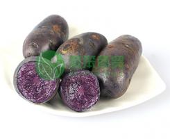 Purple potatoes