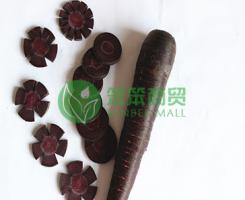 Three purple carrots